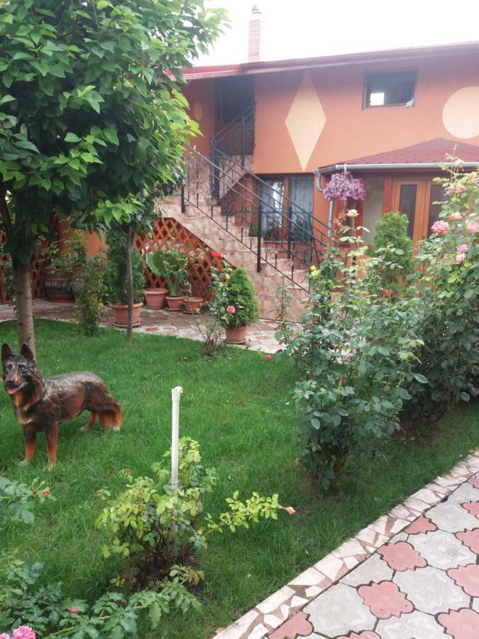 Olimpia Apartments Alba Iulia Bagian luar foto