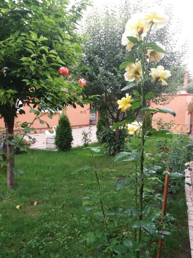 Olimpia Apartments Alba Iulia Bagian luar foto