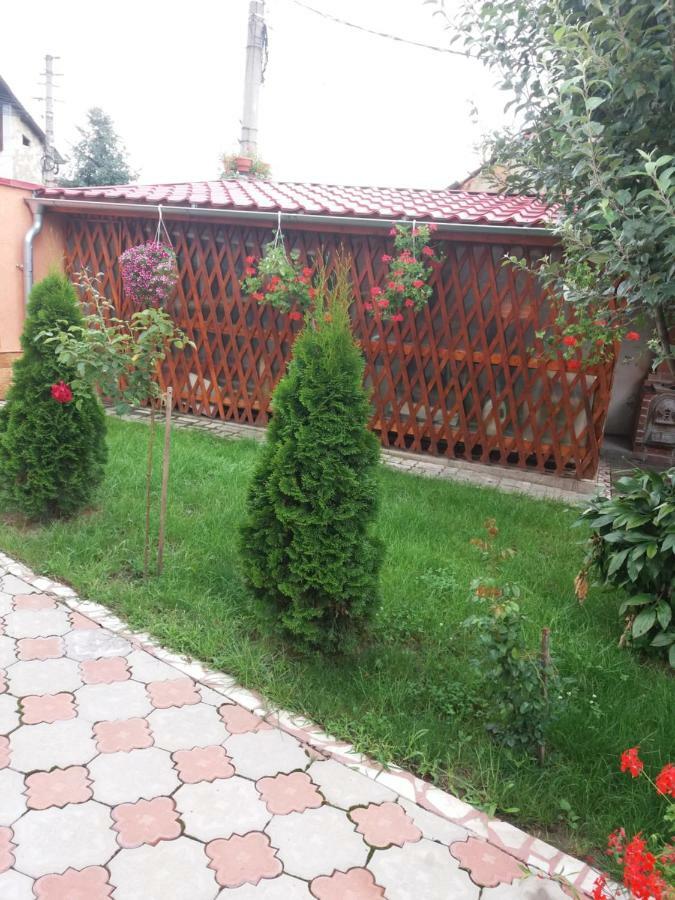 Olimpia Apartments Alba Iulia Bagian luar foto