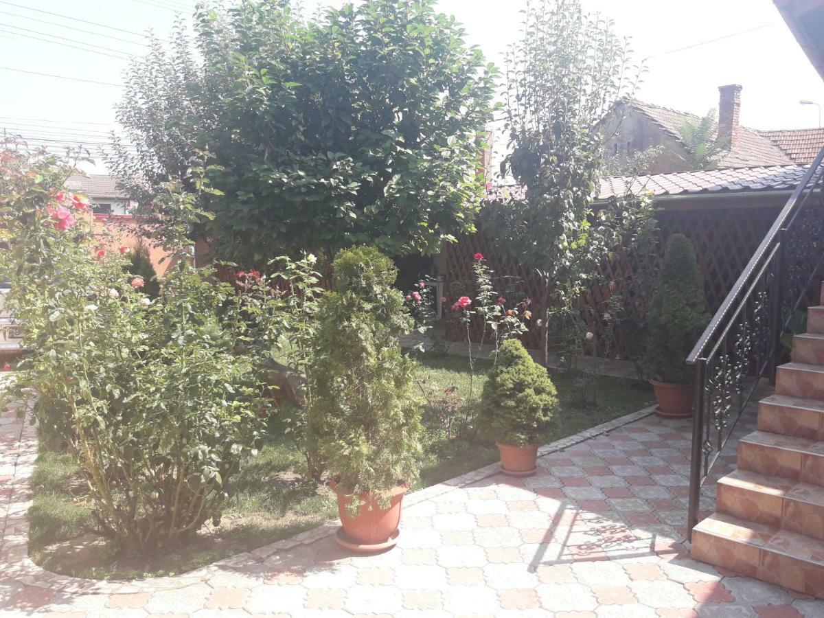 Olimpia Apartments Alba Iulia Bagian luar foto