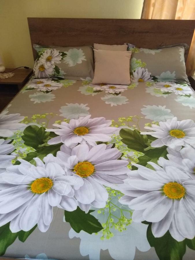 Olimpia Apartments Alba Iulia Bagian luar foto